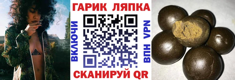 Купить где  Гаврилов-Ям  ГАШ гашик 