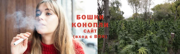 стафф Инта