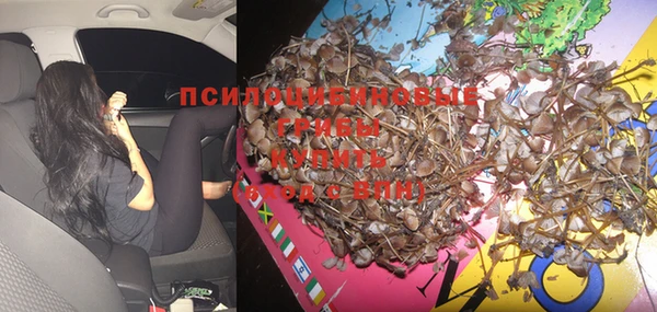 стафф Инта
