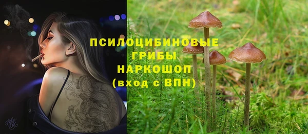 MDMA Инсар
