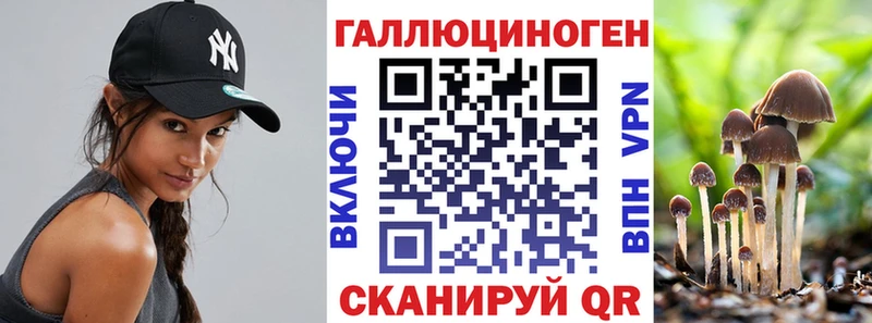 Купить закладки  Гаврилов-Ям  Псилоцибиновые грибы ЛСД 